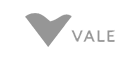 ícone da VALE
