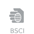 BSCI