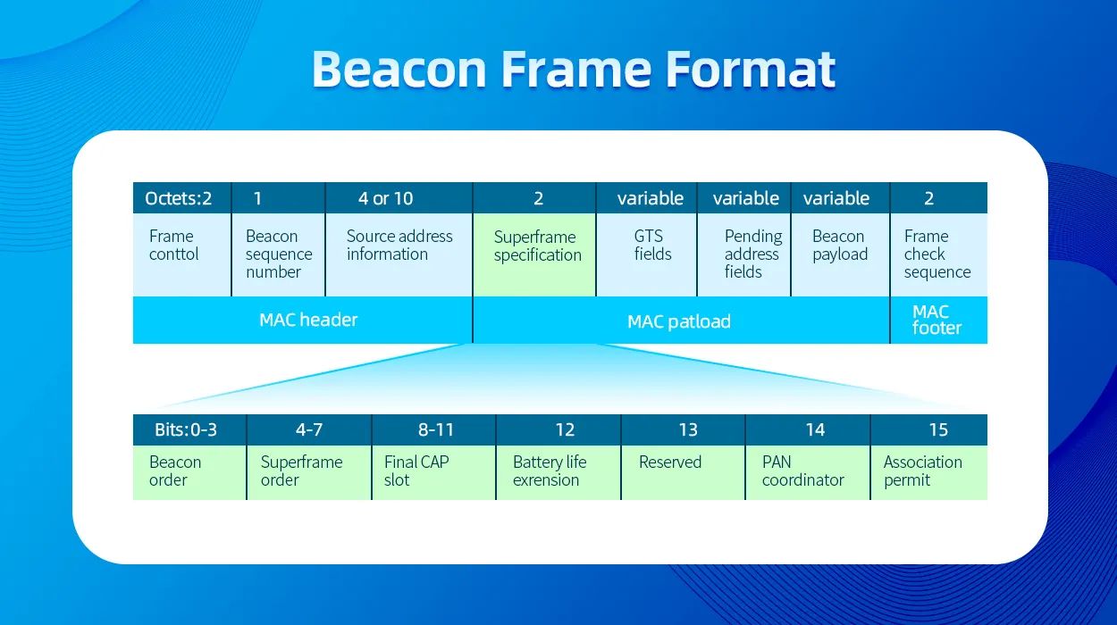 beacon frame format
