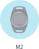 M2 منارة الأصول