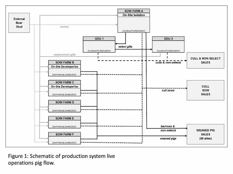 The components of the beacon system in pig production