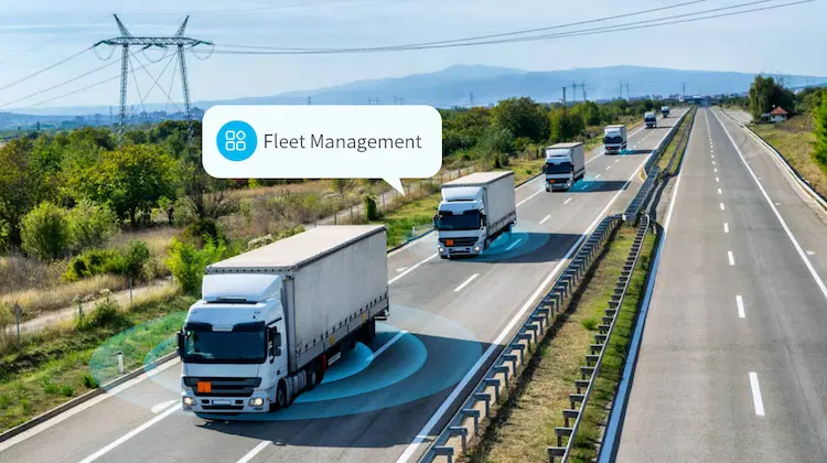 Kontrolle und Zählung der Fahrer, Fahrzeuge, und Fracht